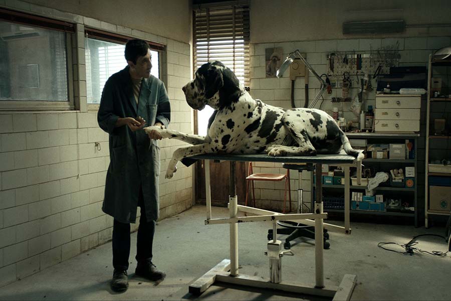Dogman (Movie Still)