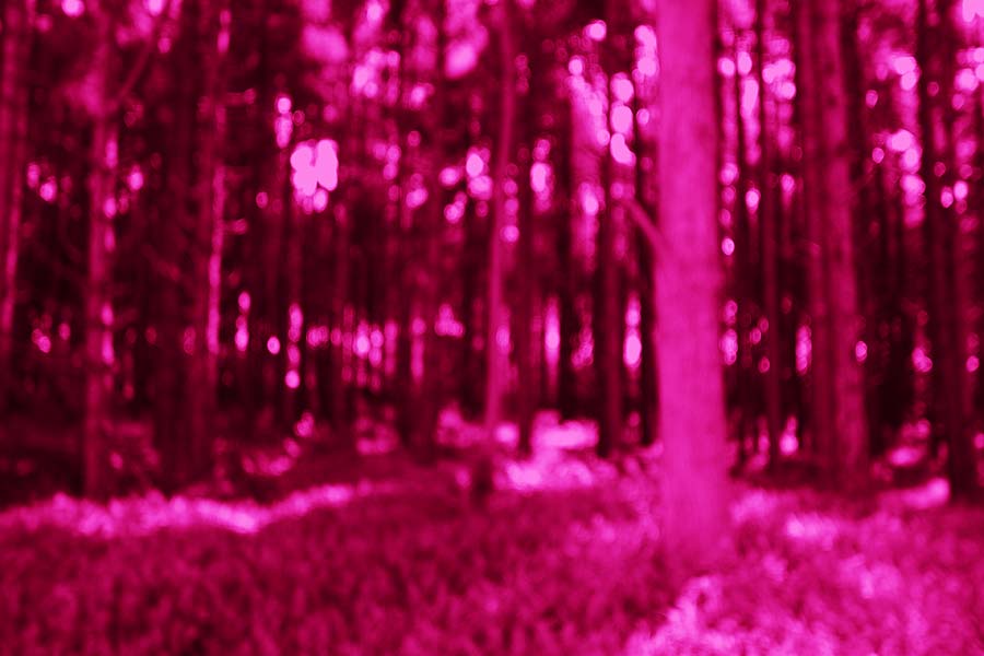 Richard Bolhuis Xuanxue Film Loop Still