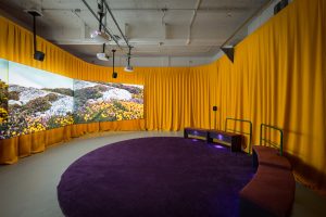 Marianne Keating: An Ciúnas / The Silence, installation view, 2023 The Showroom, London. Photo: Dan Weill Photography