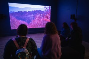 Marianne Keating: Áilleacht Uafásach / A Terrible Beauty, 2023 The Model, Sligo. Photo: Cían Flynn